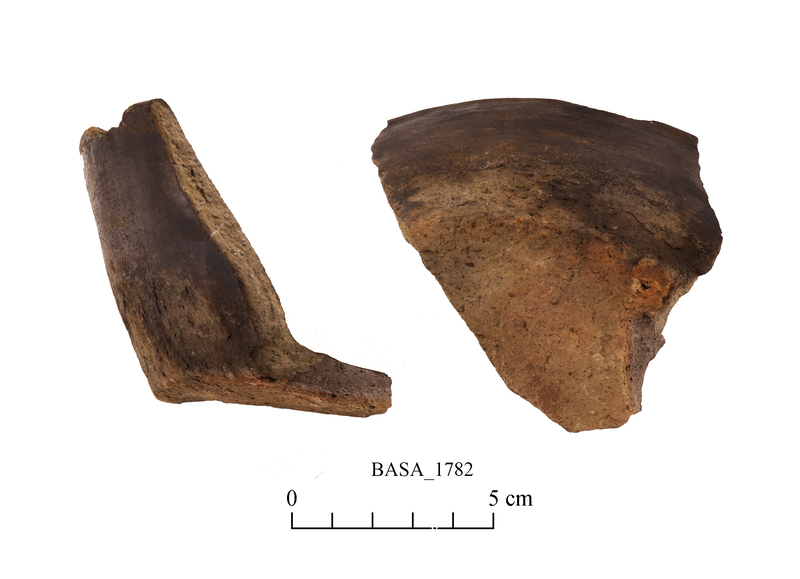 a BASA object