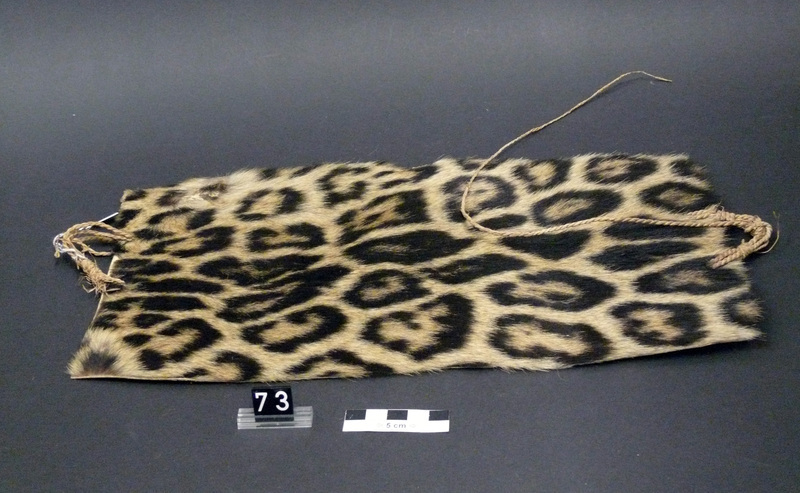 a BASA object