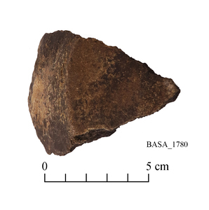 a BASA object