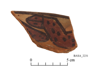 a BASA object
