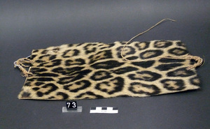 a BASA object