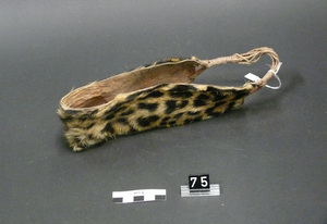 a BASA object