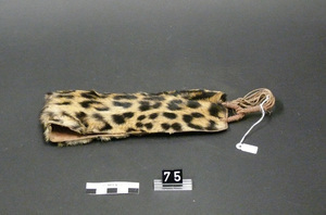a BASA object